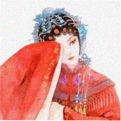 读者程屿的兰花图片观测头像